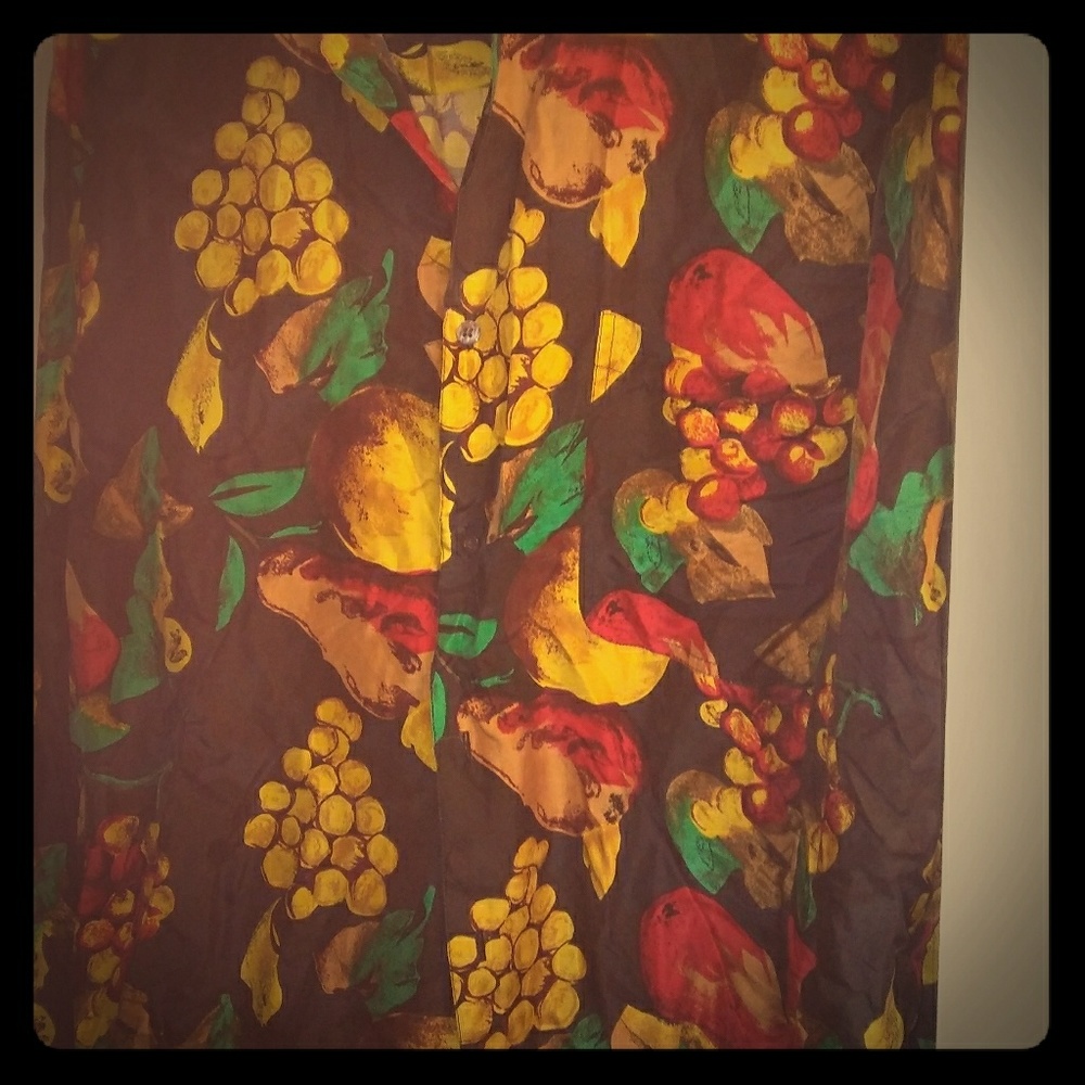 Beautiful vintage Robert stock fruit button up blo